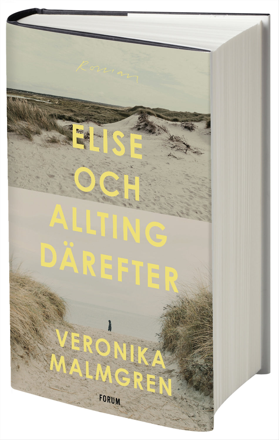 Valokuva kirjasta Veronika Malmgren Elise och allting därefter, kuuluu tuoteryhmään Ruots kaunokirjat.
