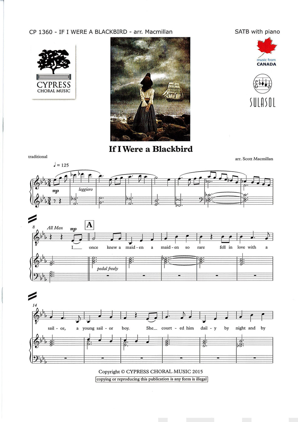 Valokuva kirjasta  If I Were a Blackbird, kuuluu tuoteryhmään Musiikki.