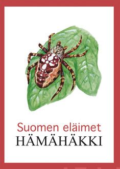Valokuva kirjasta  Hämähäkki, kuuluu tuoteryhmään Lasten ja nuorten tietokirjat.