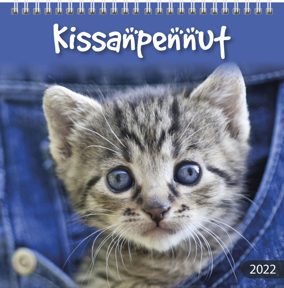 Valokuva tuotteesta Kissanpennut 2022 FSC Mix (seinäkalenteri), kuuluu tuoteryhmään Seinäkalenterit.