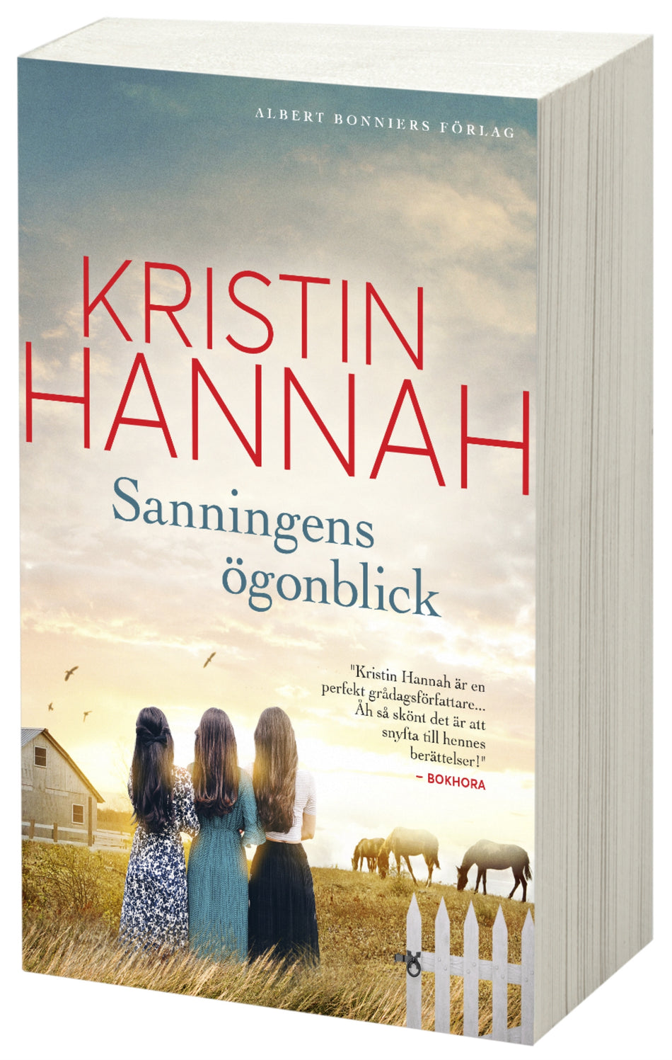 Valokuva kirjasta Kristin Hannah Sanningens ögonblick, kuuluu tuoteryhmään Ruots kaunokirjat.