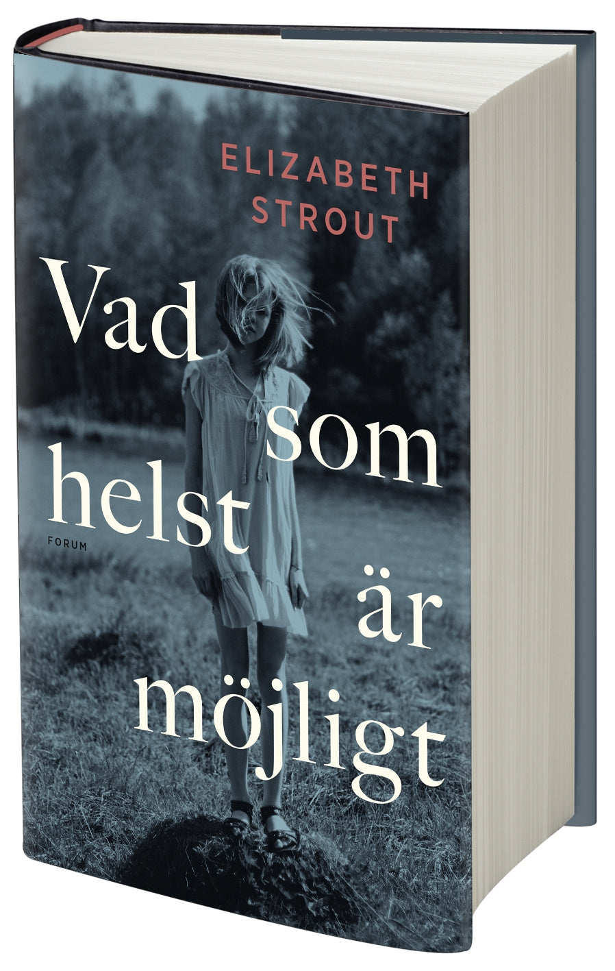 Valokuva kirjasta Elizabeth Strout Vad som helst är möjligt, kuuluu tuoteryhmään Ruots kaunokirjat.